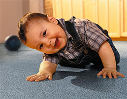 carpet cleaning spring tx